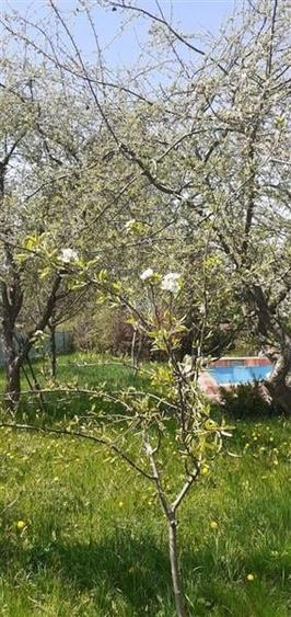 Casa cu gradina, piscina  si alte facilitati, Tarlungeni, Brasov - 1