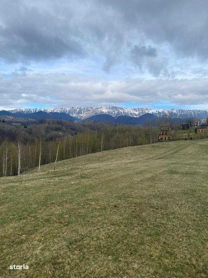 Vand 4 terenuri in Pestera, judetul Brasov, zona Moieciu. - 1