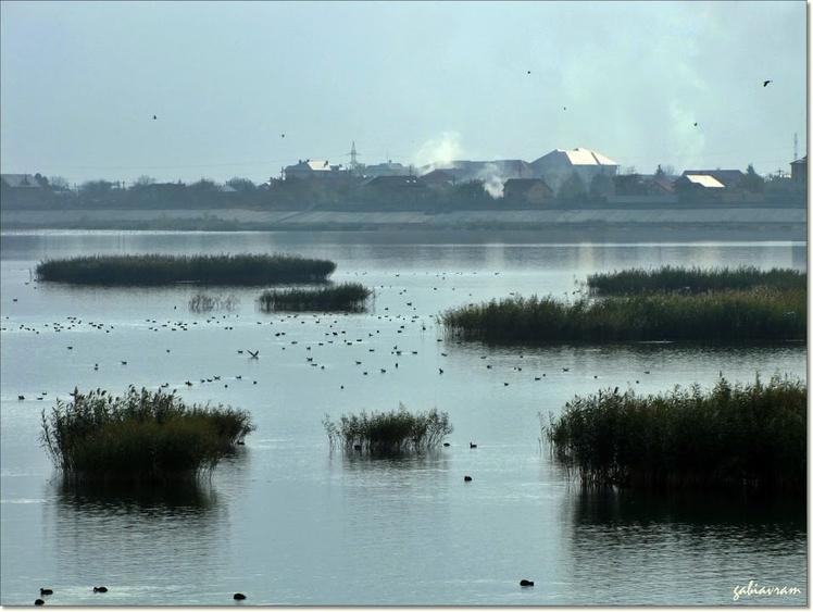 Proprietar - SUPER OFERTA - Teren CORNETU 3.544 mp - doar 3 euro/mp - 5