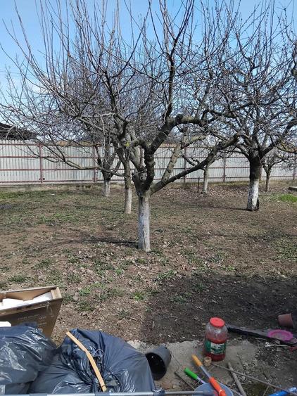 Casa + teren de vanzare - 1