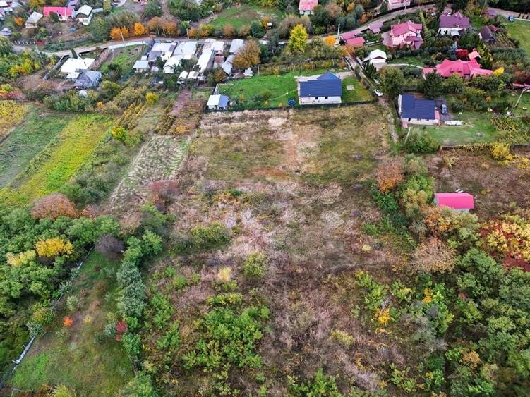 De vanzare teren intravilan 8,000 mp Garlenii de Sus / Bacau - 6