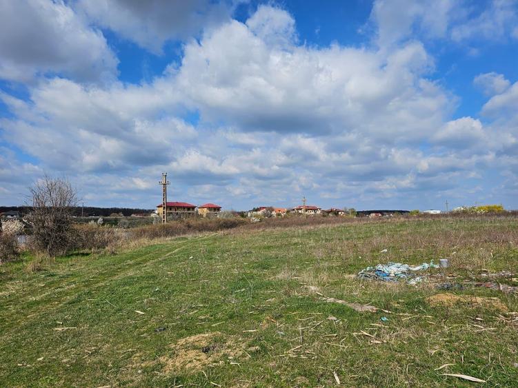 Mogosoaia I Teren intravilan 855 mp cu PUZ aprobat I P+2+M - 8