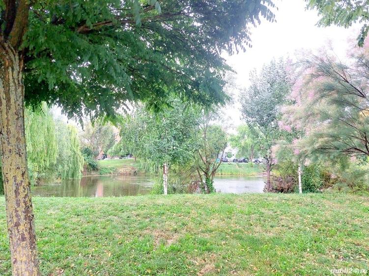 Apartament cu 2 camere semidecomandat, mobilat în Freidorf