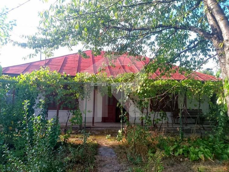 Exclusivitate_Lipia (Gruiu IF)- Casuta Bunicii