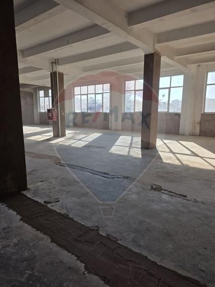 Spatii 200/430 mp lift marfa Baicului platforma industriala - 4