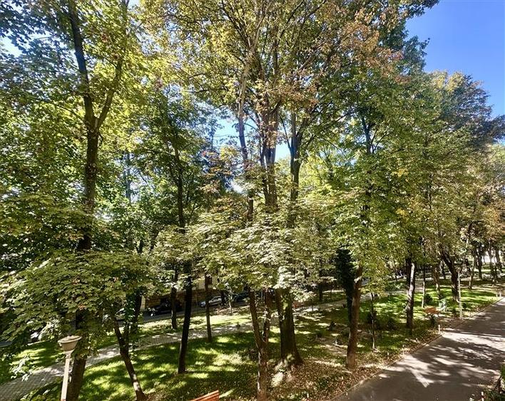 Apartament 2 camere  de inchiriat  Copou, - 14