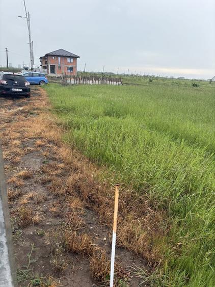 Vand Teren Bradu - 5