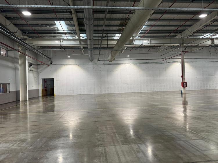 Închiriere Platformă Industrială Majoră în Ineu - 8