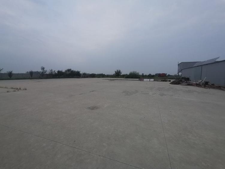 Hala Padureni 300 mp - 9