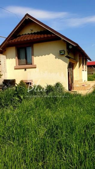 Casa cu teren 1200 mp situata in Localitatea Mihai Kogalniceanu - 1