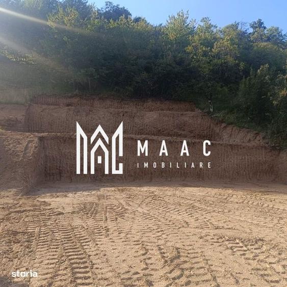 TEREN INTRAVILAN 1641 mp | PUZ APROBAT | Cisnadioara - 9