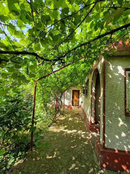 Vand casa comuna Amaru jud. Buzau - 9