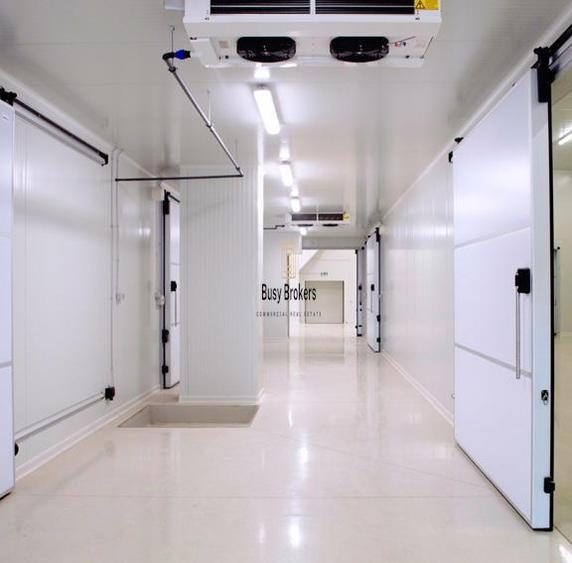 Spatii Frigorifice - 5200 mp - Congelate - Refrigerate - 1