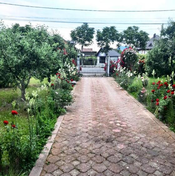 Vila cu Teren Generos si Livada La Sos. Principala Targovi? - 16