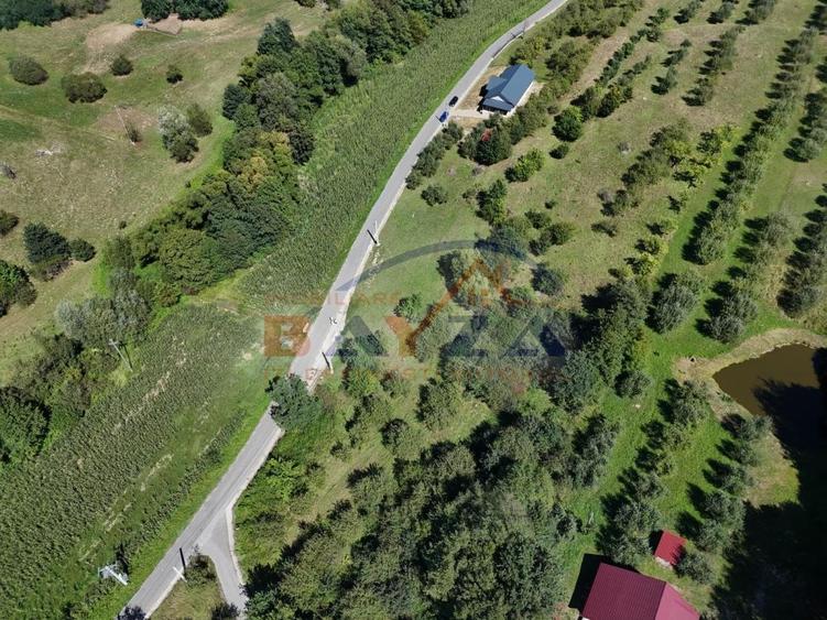 Vanzare teren, intravilan 1067 mp, localitatea Grosi - Maramureș - 4