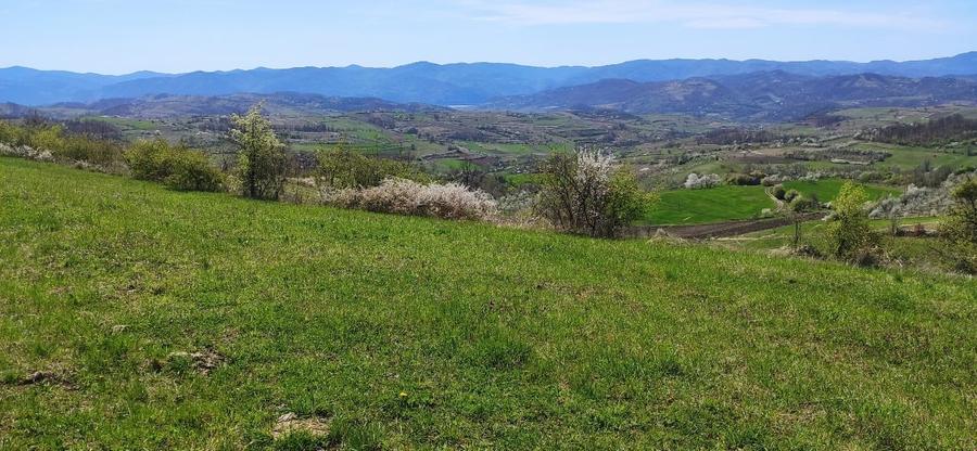 Casă în locație exclusivă, cu vedere spectaculoasă la Dunăre și 6 hectare - 11