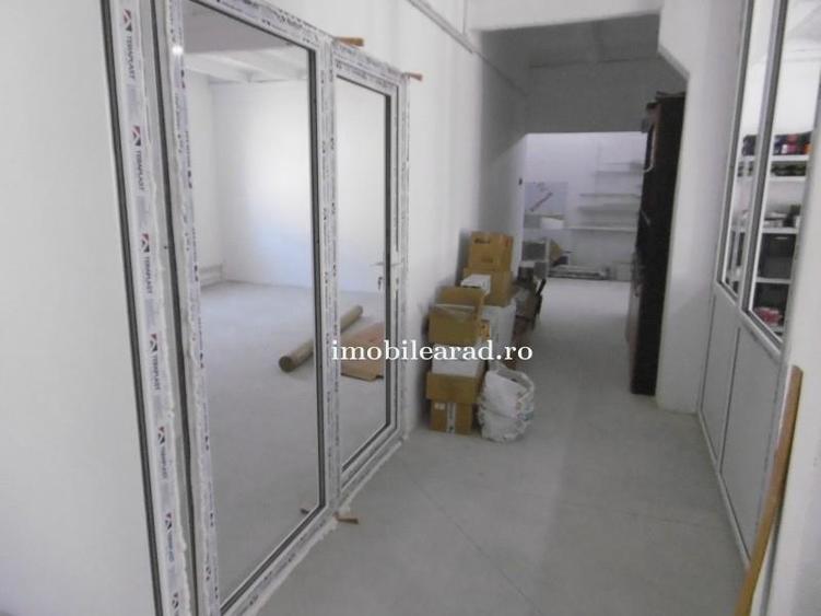 Hale de închiriat in Arad diverse zone aproape de autostrada A1 - 3