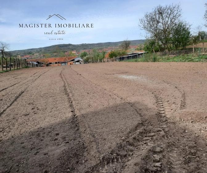 Casa 5 Camere, Teren 1600mp Zorlentu Mare - 1