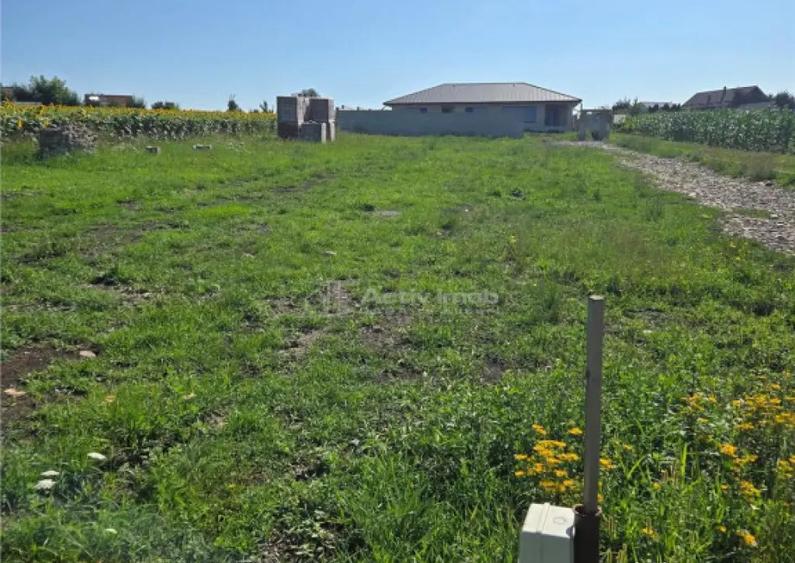 Teren intravilan - 895 mp - Moara Nica - 6