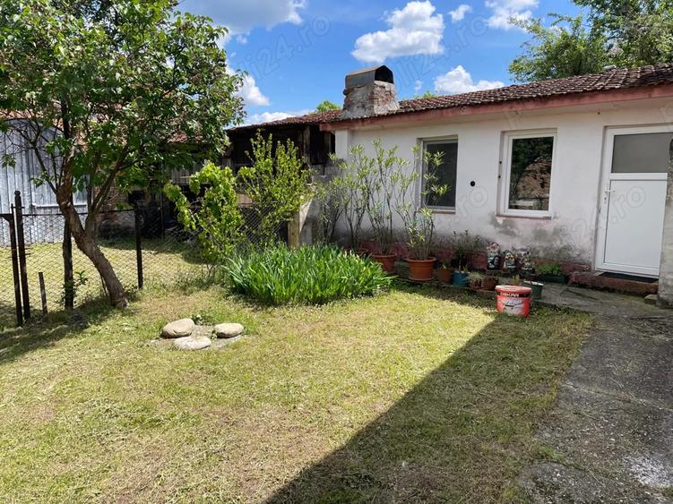 Casa Livadia Comuna Baru - 3