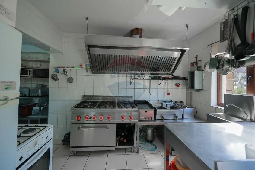 Oportunitate de investiție, Restaurantul Piatra Grăitoare,Vârtop,Bihor - 8