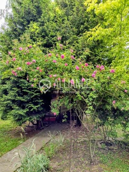 BREBU/PRAHOVA(cod04)-Casa P+1 zona mirifica - 23