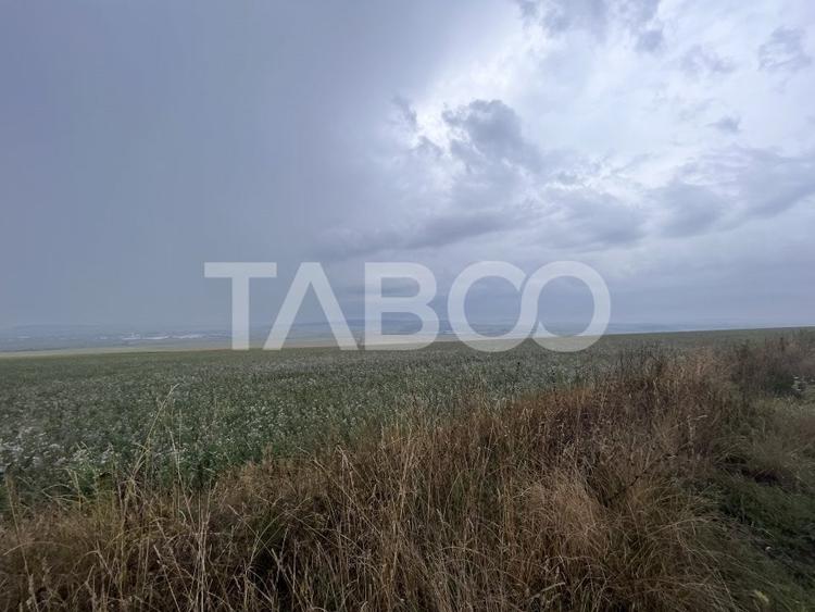 Teren de vanzare extravilan 30000 mp 60 ml deschidere Sura Mare Sibiu - 2