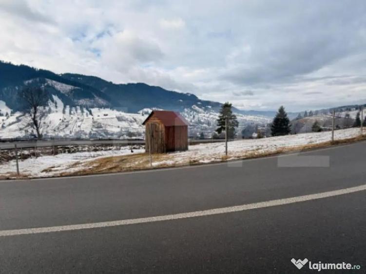 Teren extravilan 8290 mp, Front 50ml - Sadova - Panorama Buc - 2