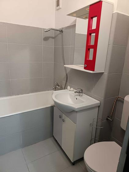 Garsoniera in Bariera Calarasilor - 3