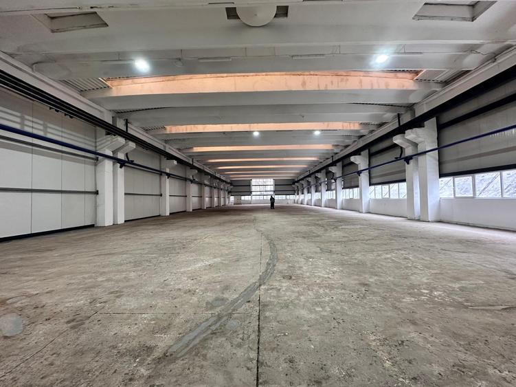 Inchiriere hala renovata Tatarasi Iasi, 990mp, zona noul Lidl - 16