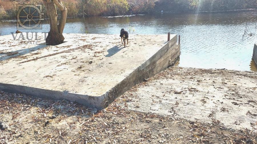 Teren - Snagov -900MP - 2