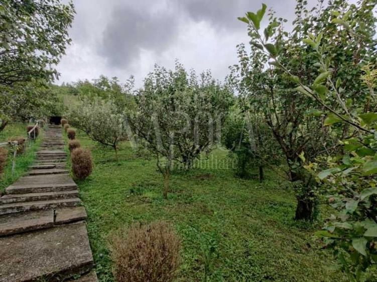 Casa 10 camere de vanzare in Grigorescu, Cluj Napoca - 5
