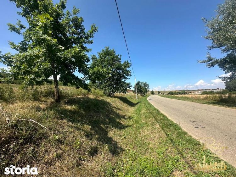 Teren intravilan de 576 mp de vanzare pe drumul DC59 , Haieu - Bihor - 5