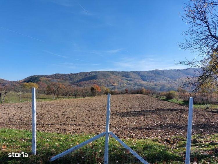 Surduc, teren curti si gradina, 4.316 mp in localitatea Fardea - 1