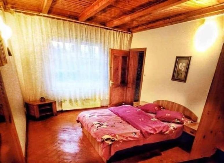 Inchiriez vila Paste - 2