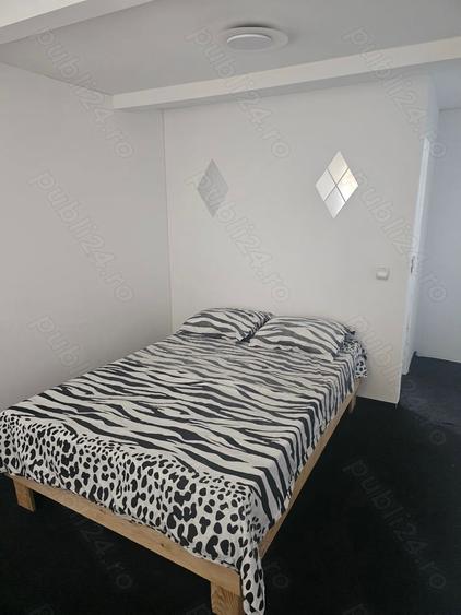 Vand casa in Costine?ti cu 14 camere ?i 4 casu?e - 2