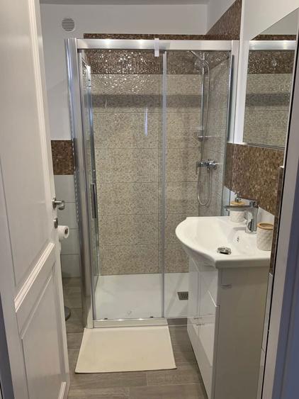 Casa de inchiriat la Fagaras, curte - 7