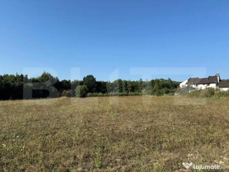 Teren intravilan, 3000mp, com. Darmanesti - 1