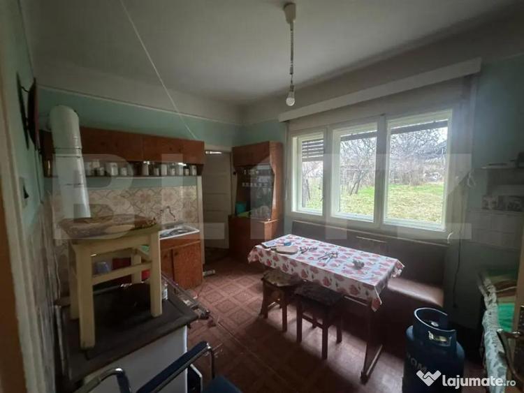 Casa cu teren generos de 6000 mp in Viile Satu Mare zo - 14