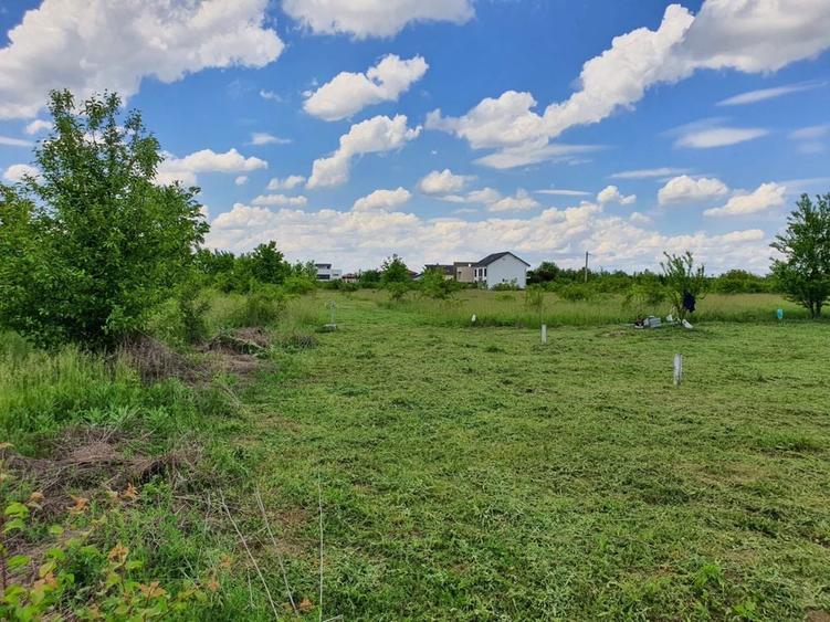 Teren Pipera proprietar - 8