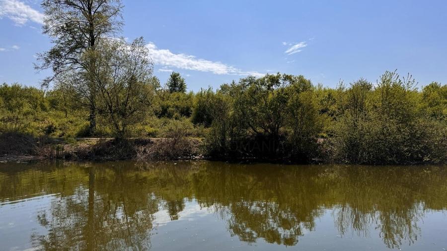 REL4001152 Teren Intravilan 10.000 mp Silistea Snagovului de Vanzare - 2