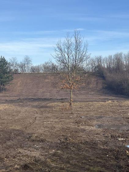 Vand teren Zervesti, comuna Turnu Ruieni - 3