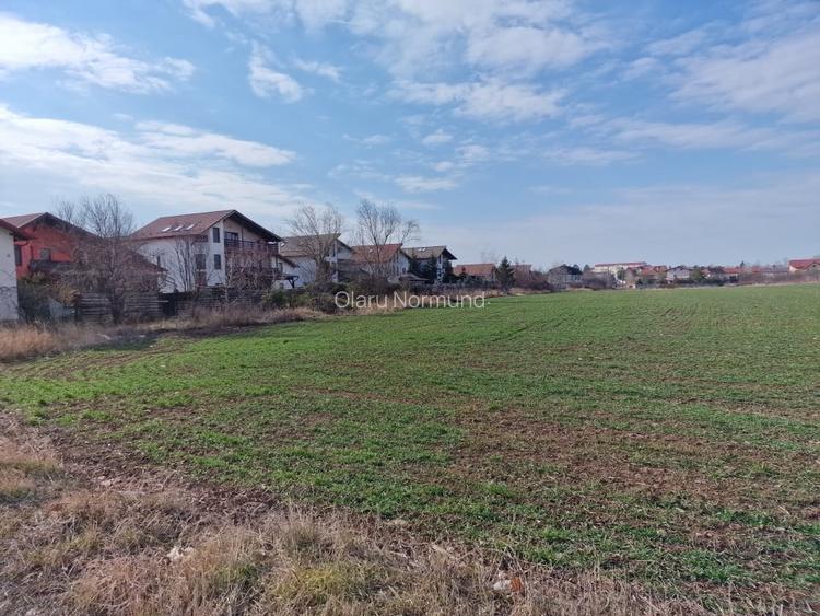 LOTURI DE TEREN IN BALOTESTI-SAFTICA| LANGA CASE SI UTILITATI