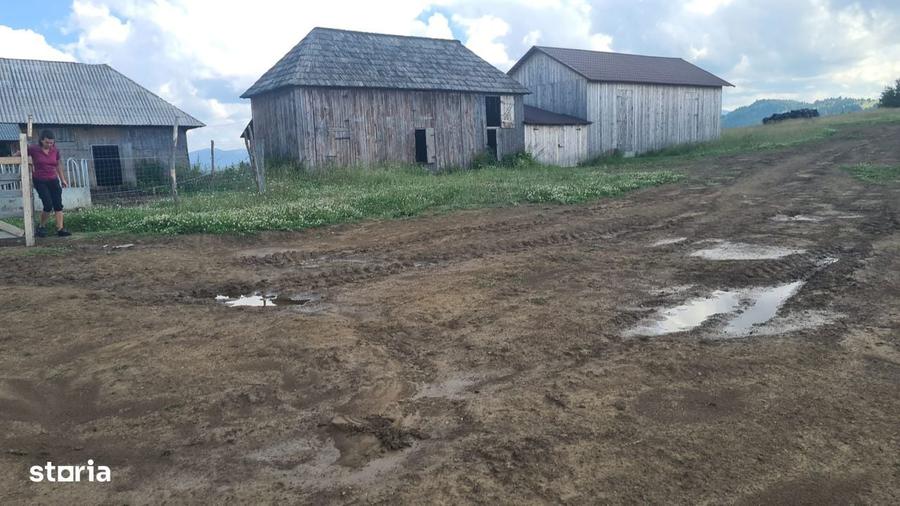 Vand teren 47.8 HA intravilan + extravilan Moisei/Viseu - 7