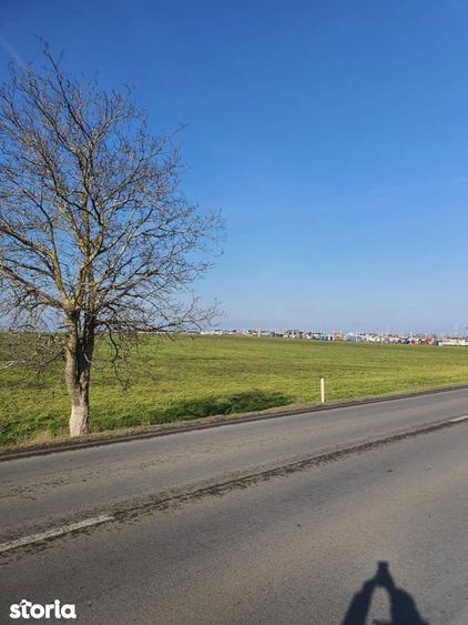 Teren de vanzare in Agigea, Varianta Agigea Techirghiol - 25000 mp - 2