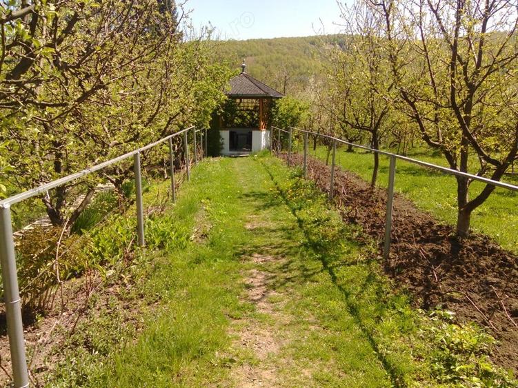 Vand conac+3540mp in Valenii de Munte, - 7