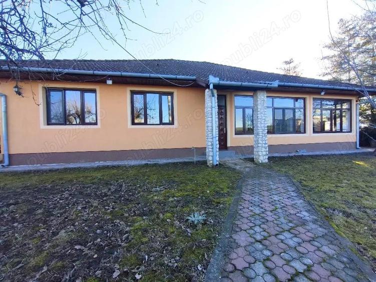 Proprietate rara,langa drumul judetean,Pecica - 3