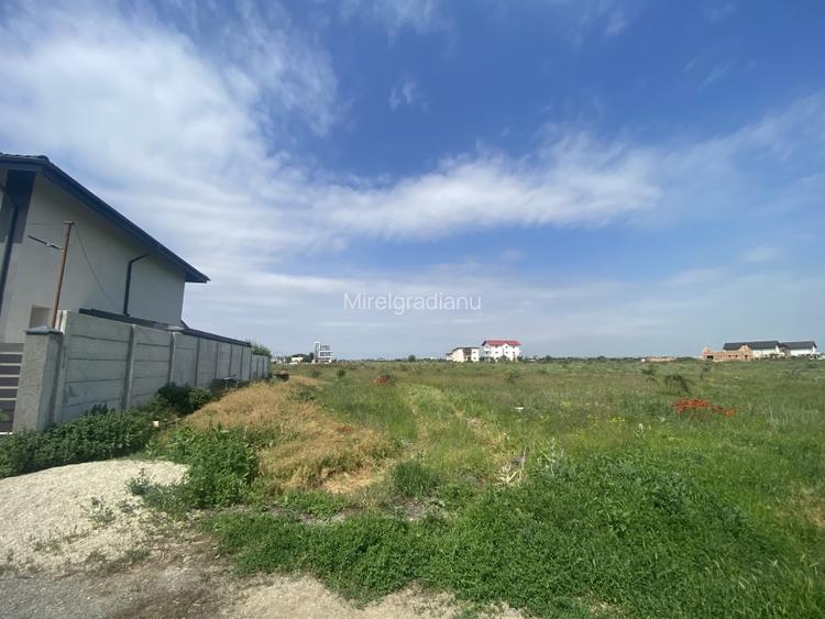 Teren intravilan Magurele granita cu Bucuresti str Nuferilor Teren intravilan Magurele granita cu Bucuresti str Nuferilor