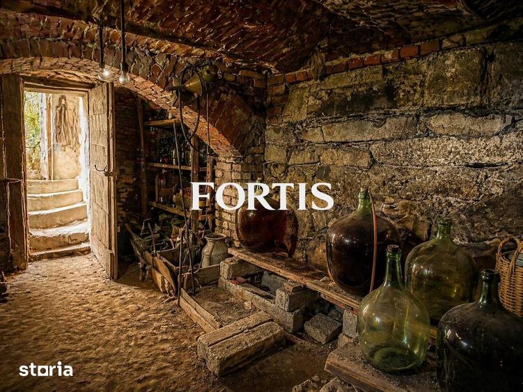 Casa de vanzare in Fagaras, zona 13 Decembrie 0% COMISION - 10