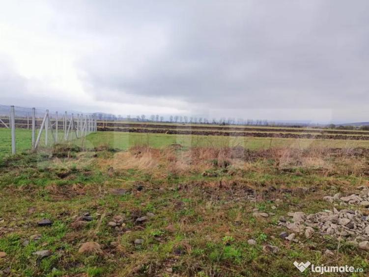 Teren 10 ari Zona Aerodrom | Zona in dezvoltare | Far - 1